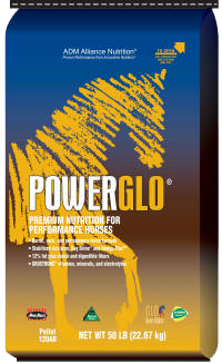 PowerGlo image