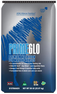 PrimeGlo  image