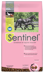 Sentinel Safe Start image