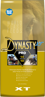 Dynasty XT Pro 14/10 image