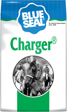 Blueseal Charger image