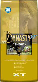 Dynasty XT Show 12/10 image