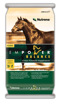 Empower Balance image