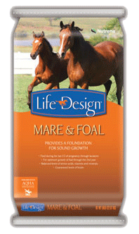 Life Design Mare & Foal  image