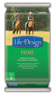 Life Design Prime image