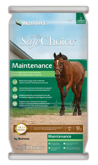 SafeChoice Maintenance image