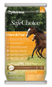 SafeChoice Mare & Foal image