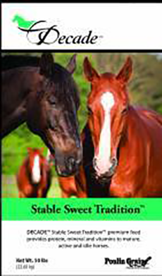 Decade Stable Sweet Traditions  image