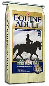 Equine Adult image