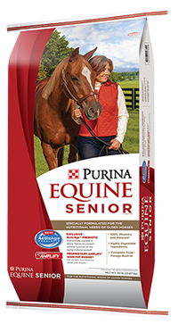 Equine Senior image