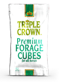 Premium Alfalfa-Timothy Forage Cubes image