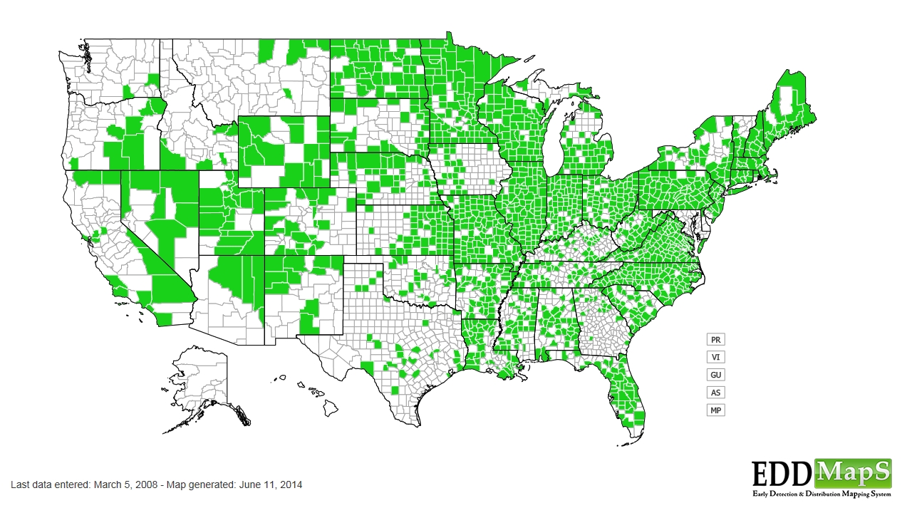 Water hemlock distribution - United States