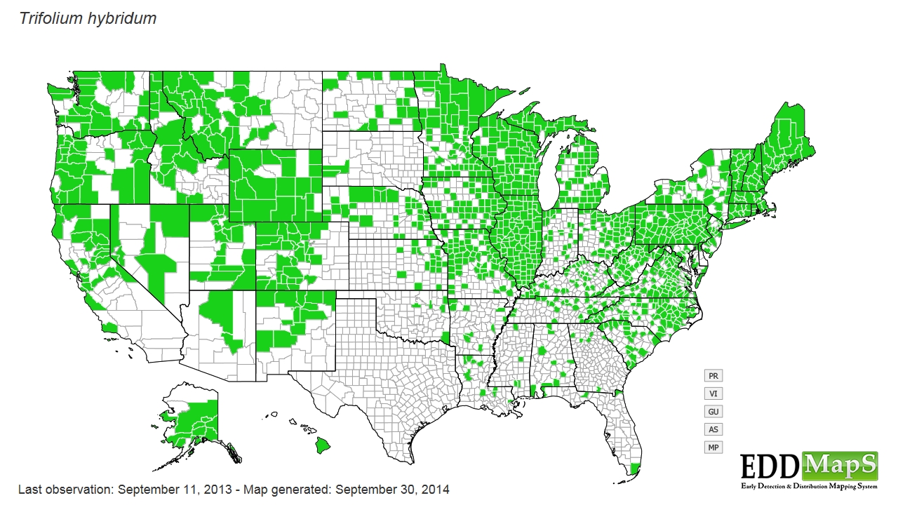Alsike clover distribution - United States