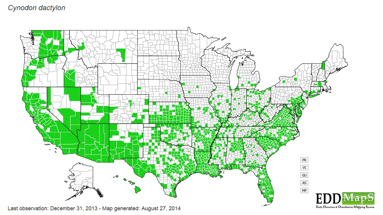 Bermudagrass distribution - United States