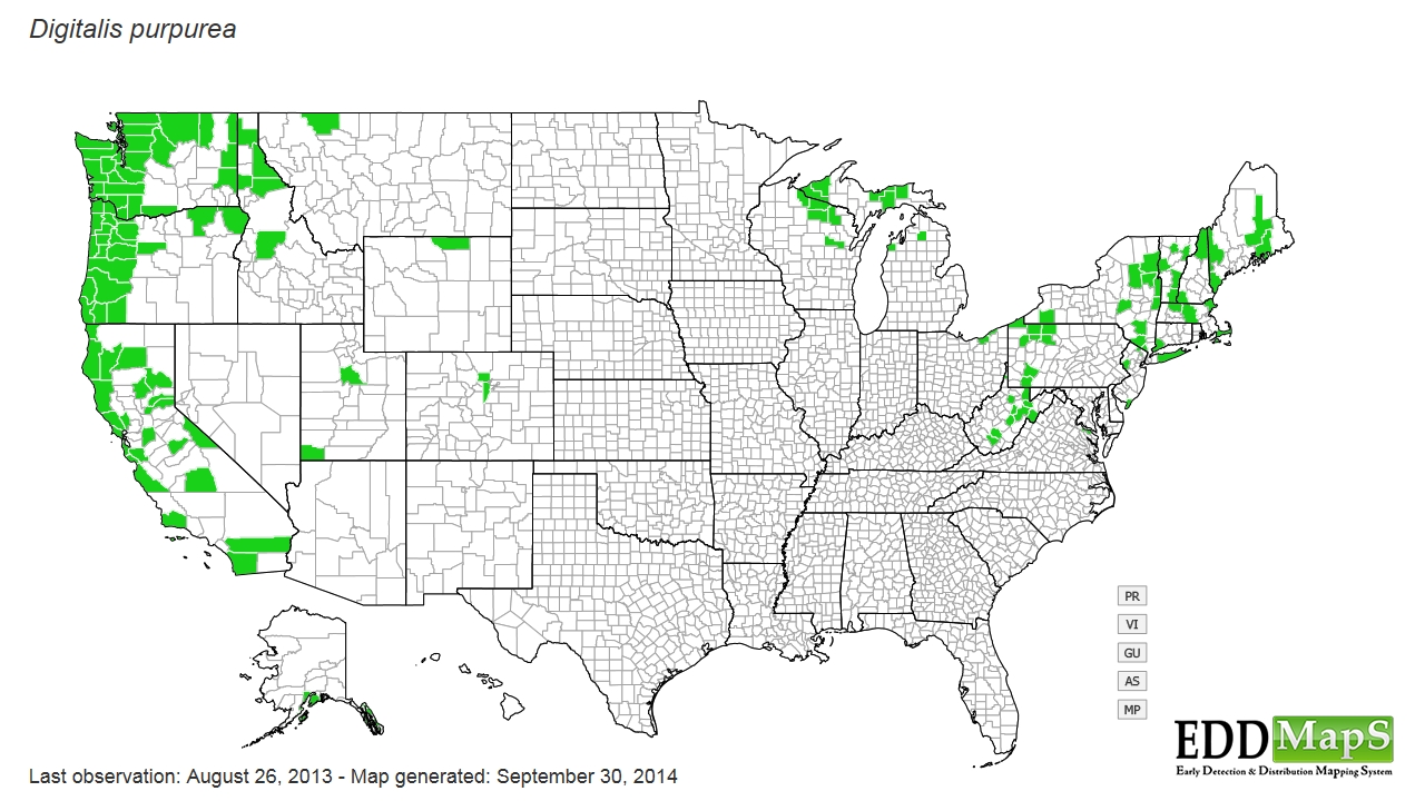 Foxglove distribution - United States