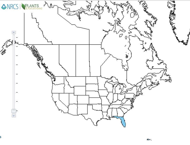 Physic nut distribution - United States