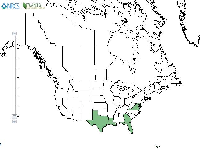 Gomphrena weed distribution - United States