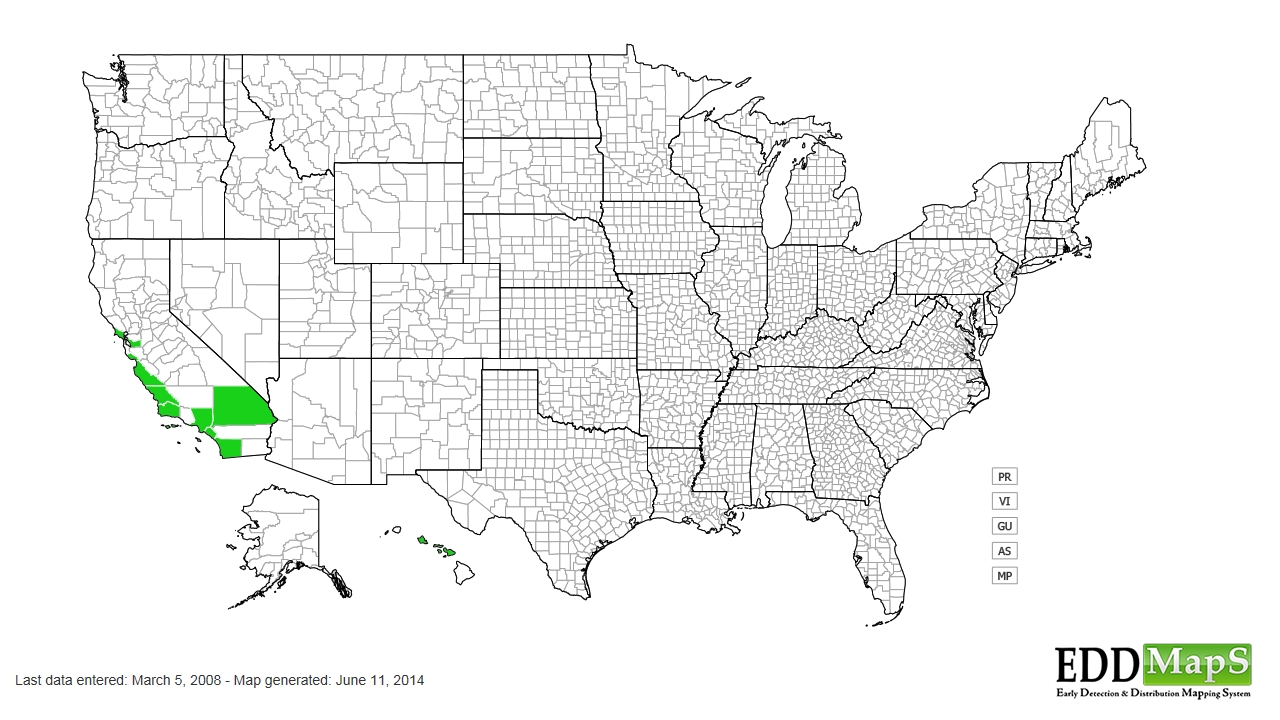 Crofton weed distribution - United States