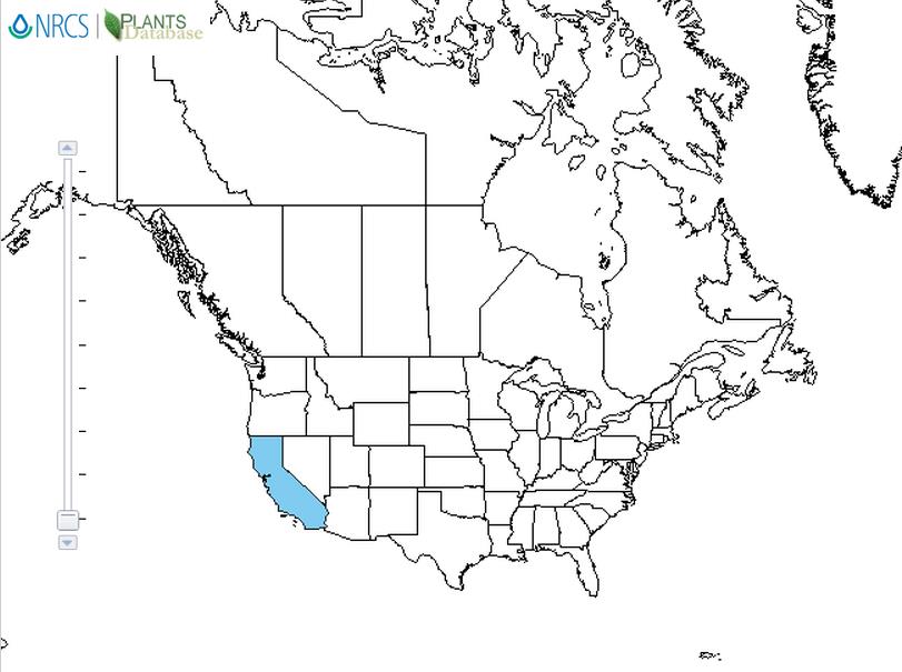 Nardoo distribution - United States
