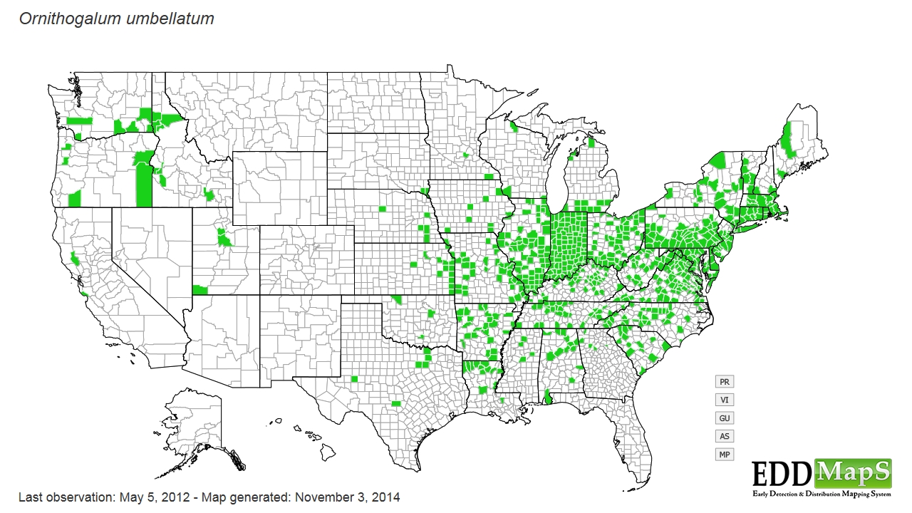 Star-of-bethlehem distribution - United States