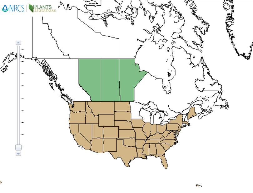 Heliotrope distribution - United States