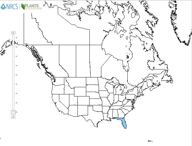 Climbing lily distribution - United States