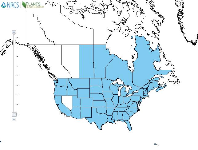 Hemp distribution - United States
