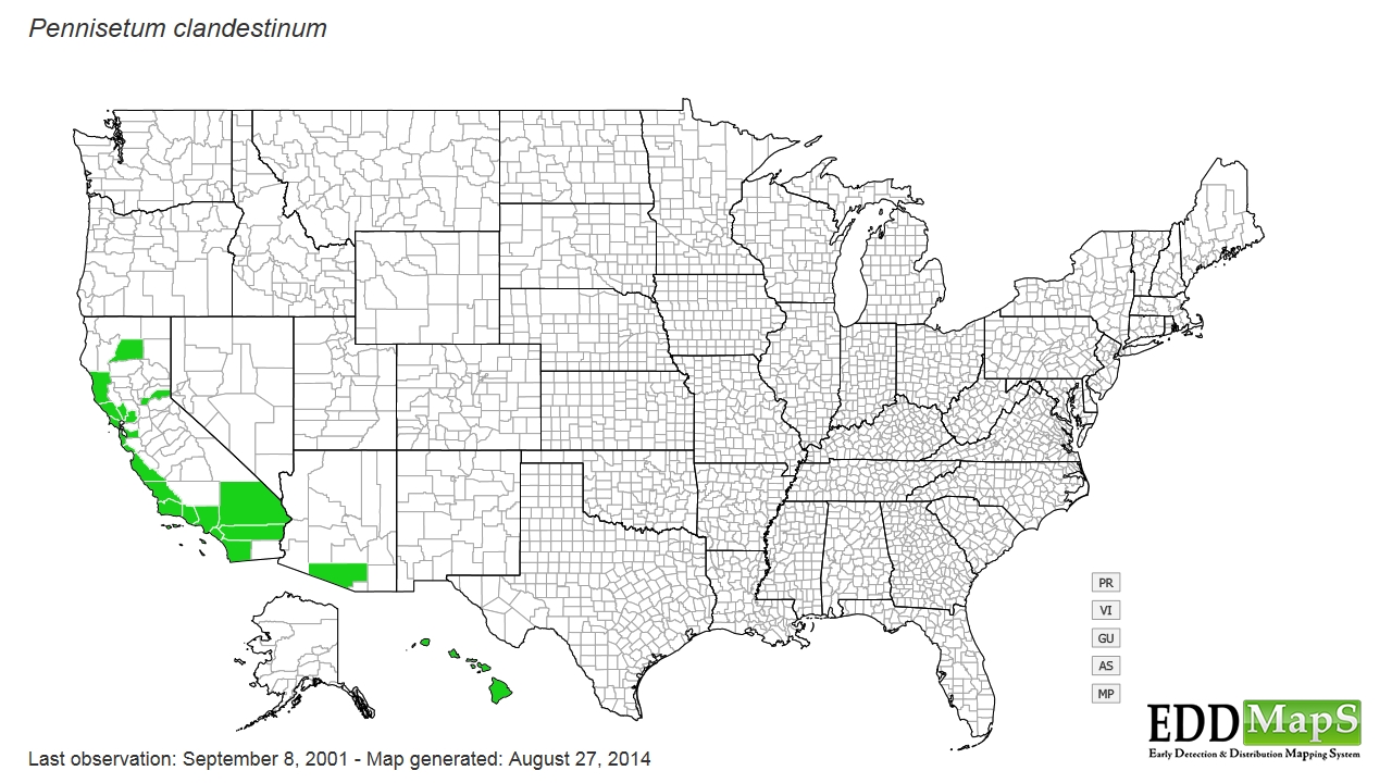 Kikuyu grass distribution - United States