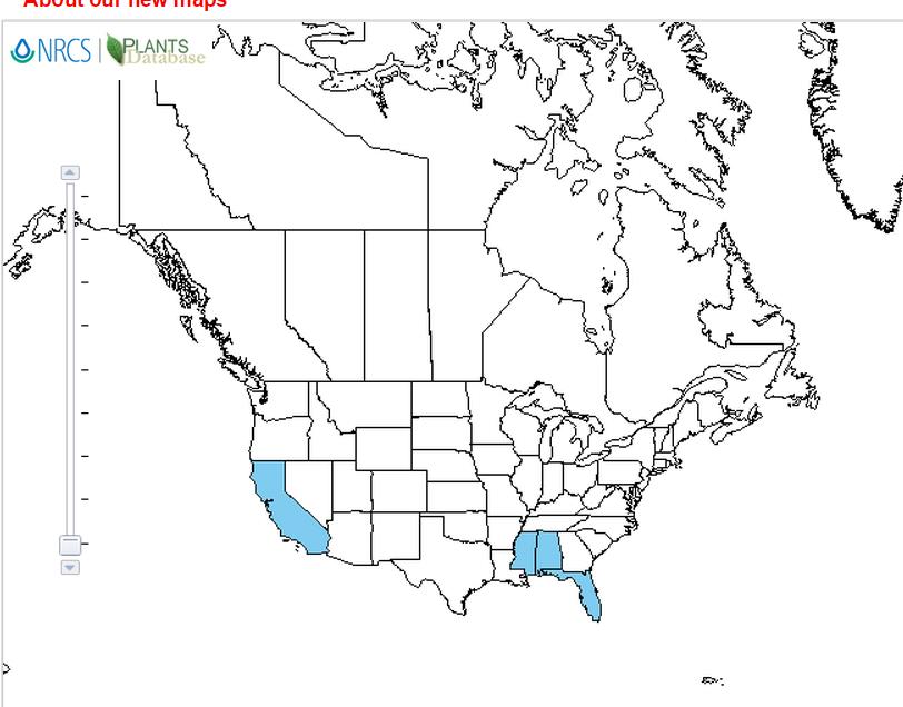 Setaria distribution - United States