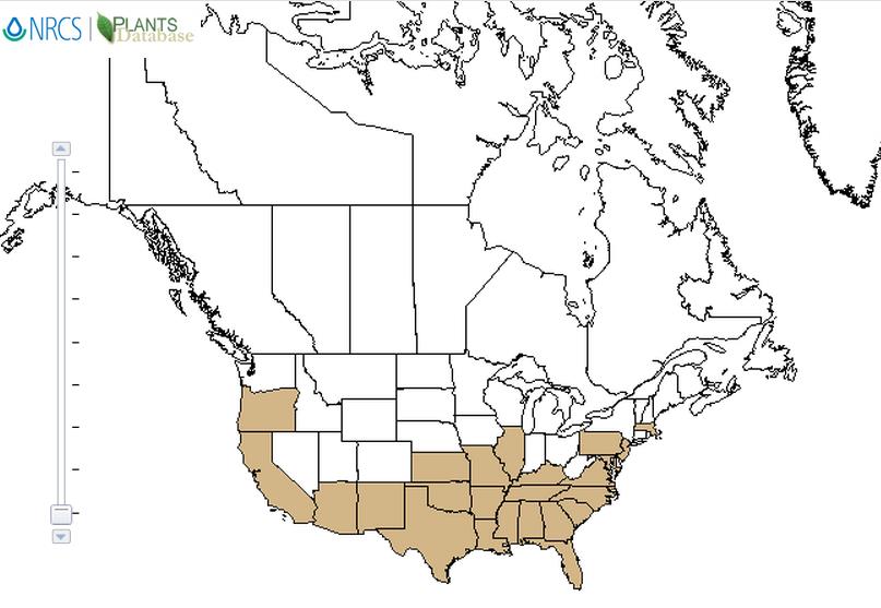 Signalgrass distribution - United States