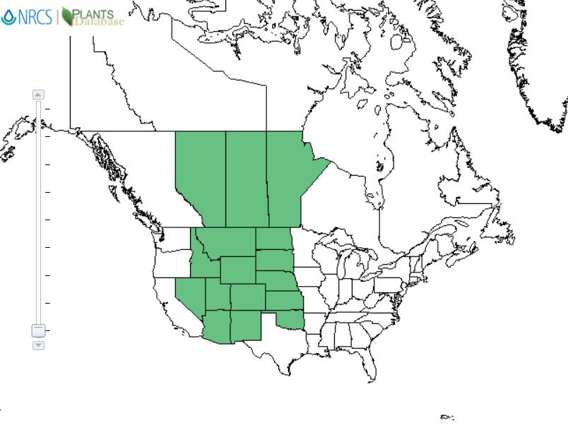 Milkvetch distribution - United States