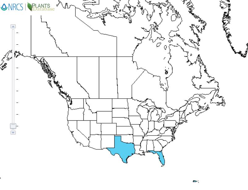 Yellow oleander distribution - United States