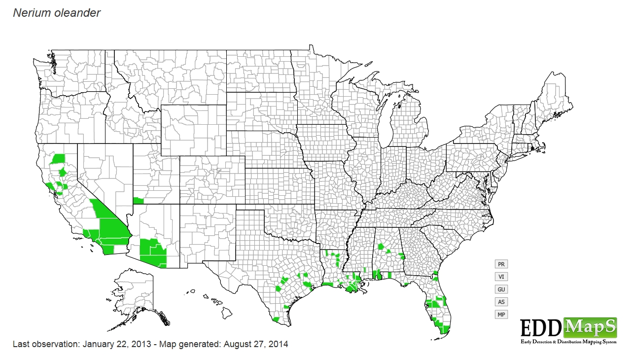 Oleander distribution - United States