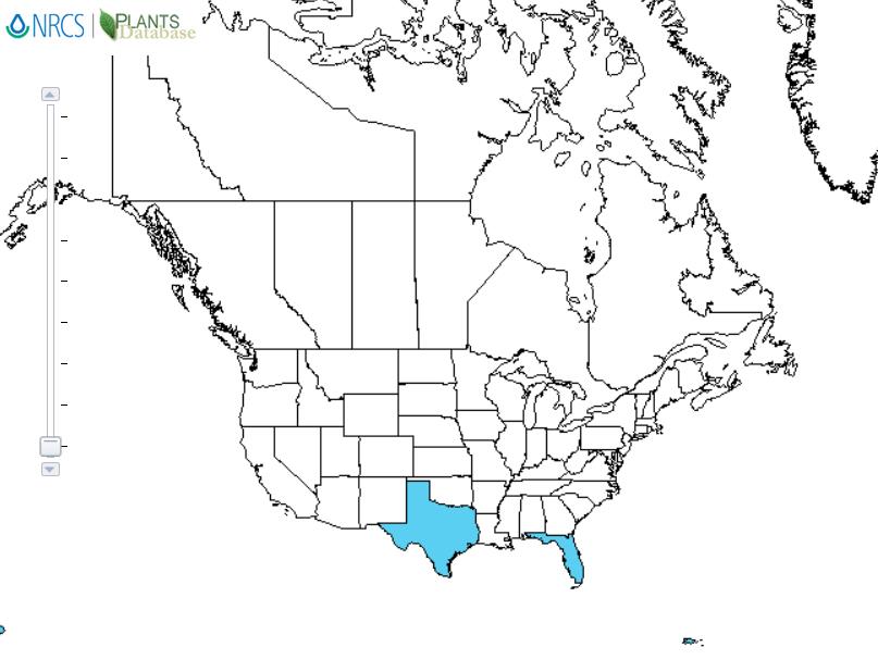 Mother-of-millions distribution - United States