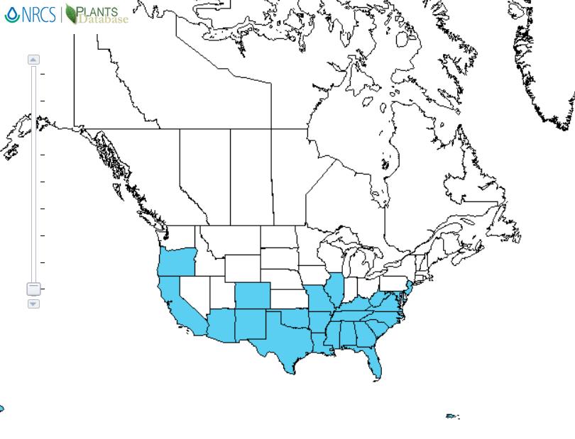 Dallisgrass distribution - United States