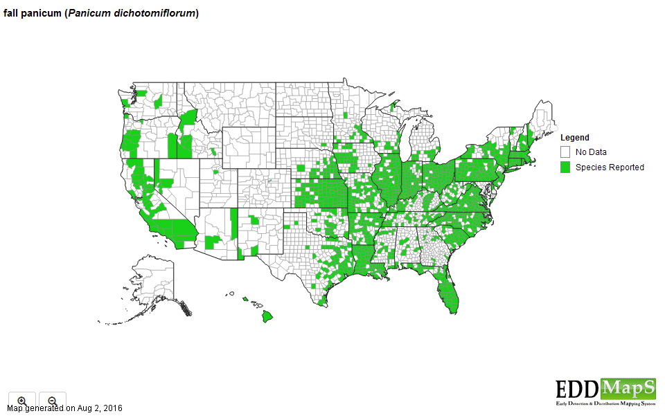 Fall panicum distribution - United States