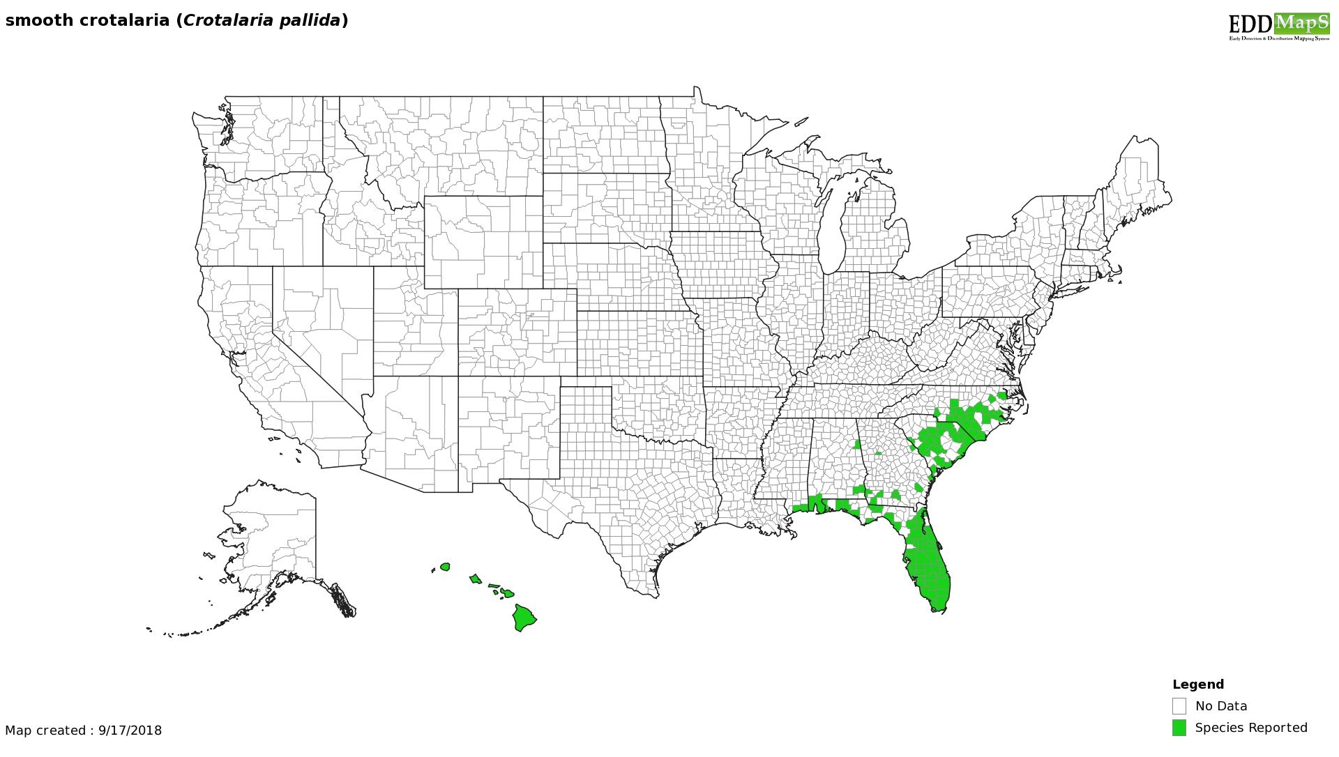 Smooth rattlebox distribution - United States