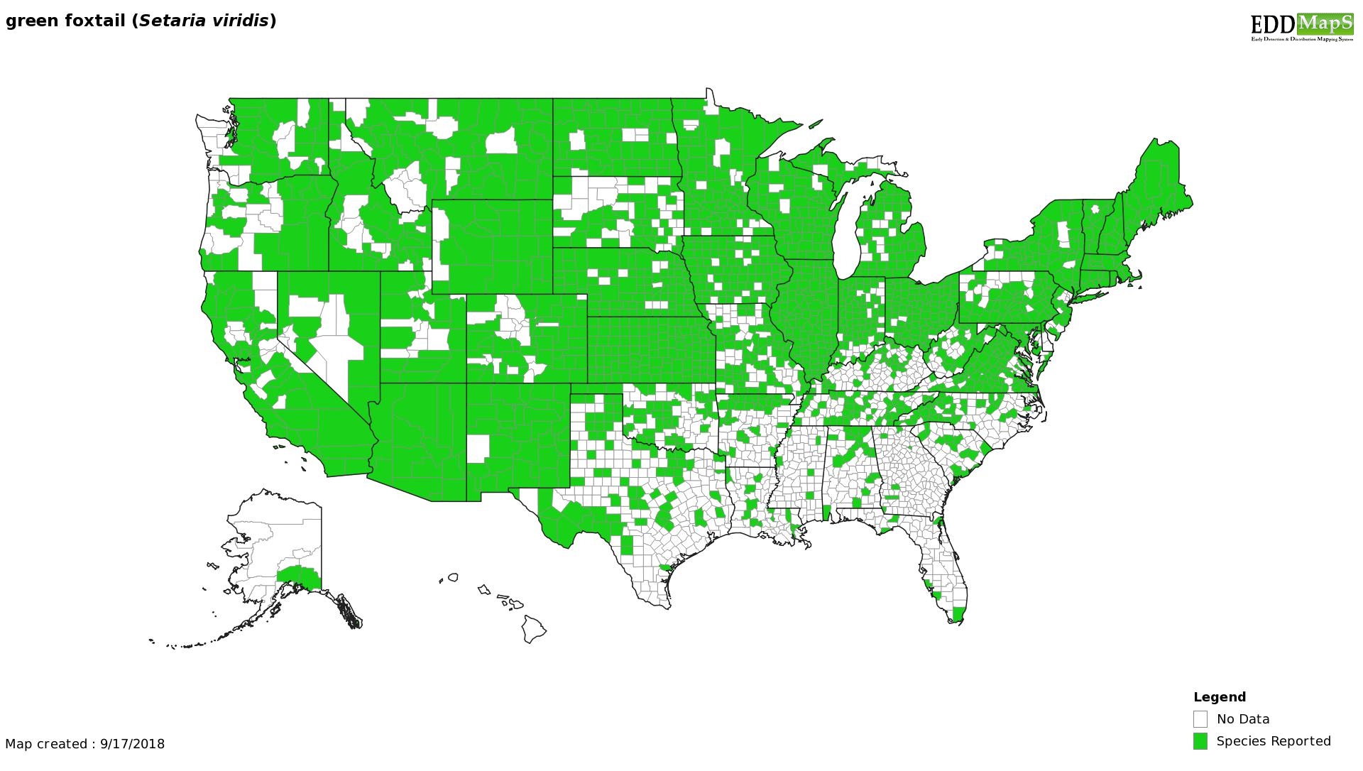 Green foxtail distribution - United States