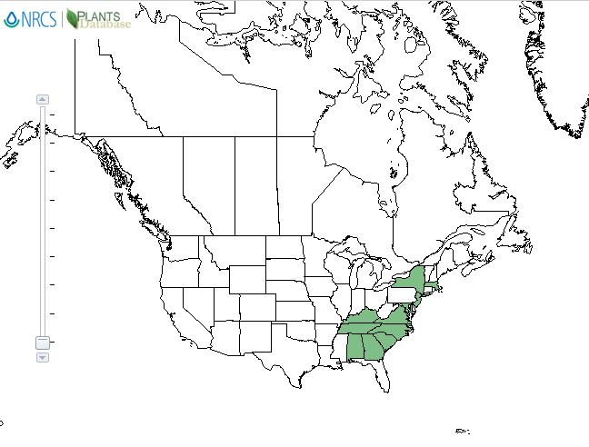 Fetterbush distribution - United States
