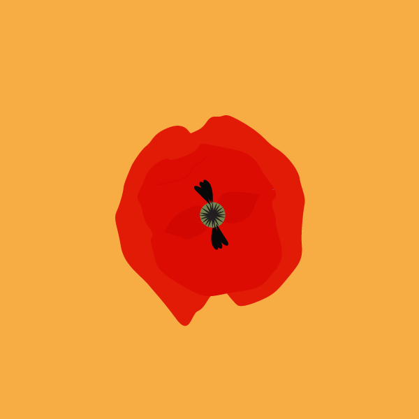 image of Poppies