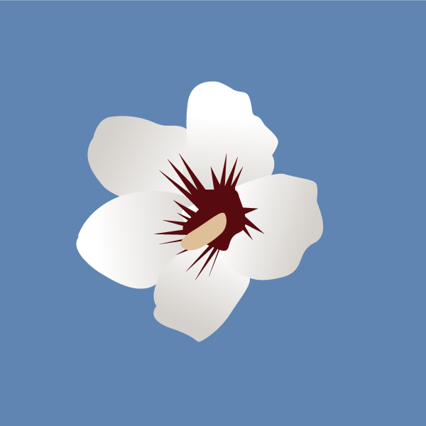 Marshmallow Poisoning in Horses