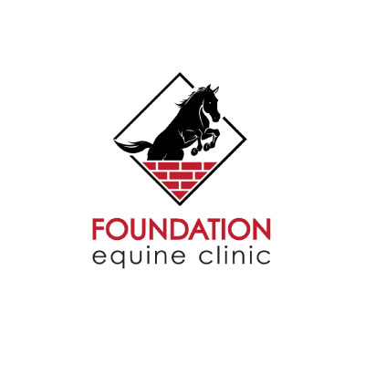 Foundation Equine Clinic
