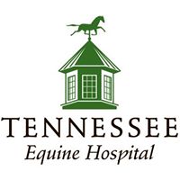 Tennessee Equine Hospital