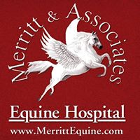 Merritt & Associates Equine Hospital