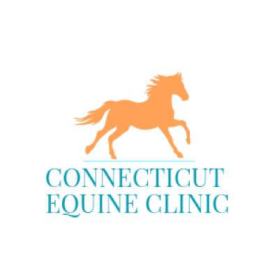 Connecticut Equine Clinic
