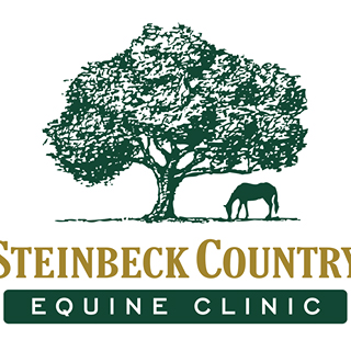 Steinbeck County Equine Clinic