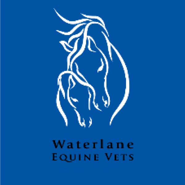 Waterlane Equine Veterinary Services