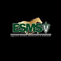 Equine Sports Medicine & Surgery