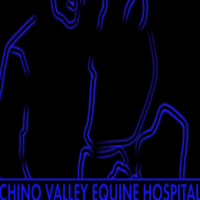 Chino Valley Equine Hospital