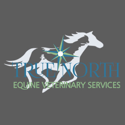 True North Equine Veterinary Services